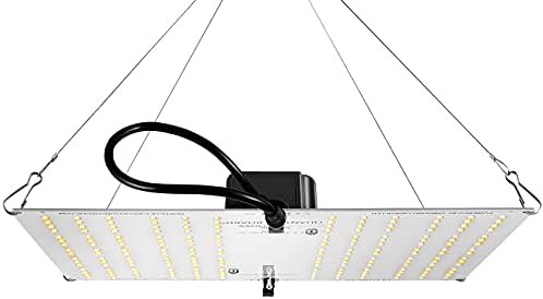 Horticulture Lighting
