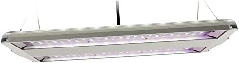 80W high bay full spectrum grow light
