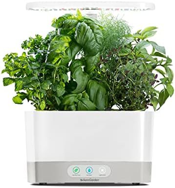 Harvest white indoor herb kit