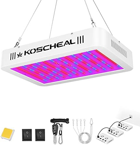 KOSCHEAL