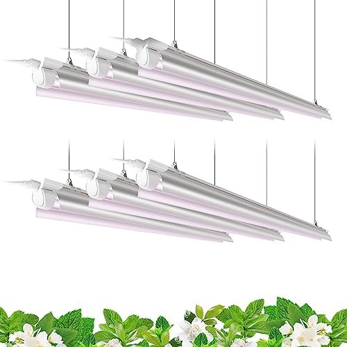 Barrina t8 4ft 42w 6 pack