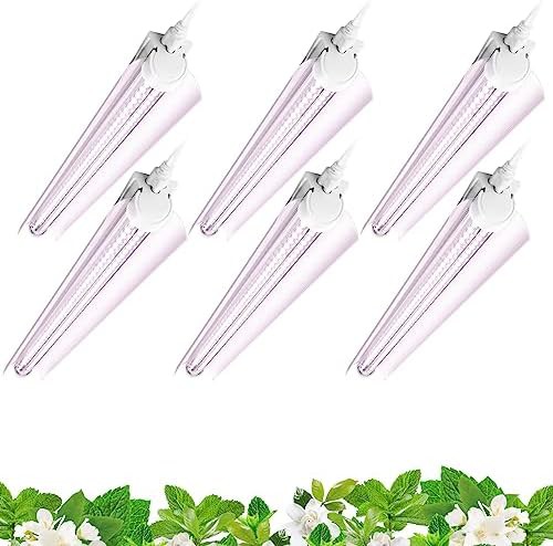 Barrina t8 2ft full spectrum 6 pack