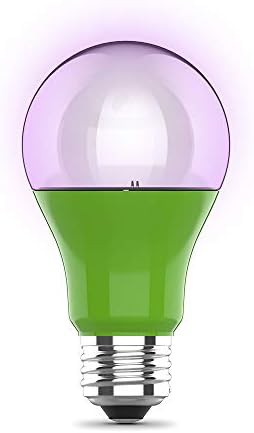 Feit Electric