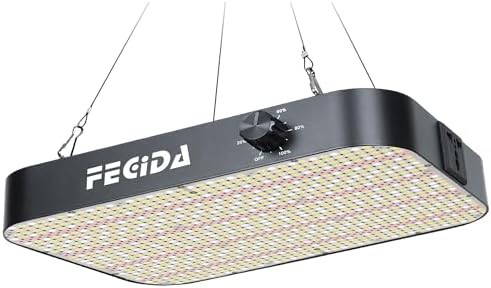 FECiDA