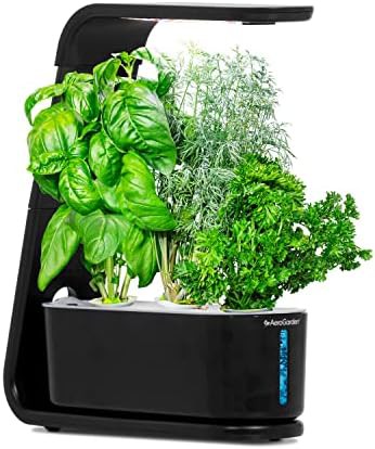 Sprout black desktop system