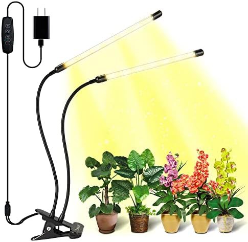 White full spectrum lamp with timer