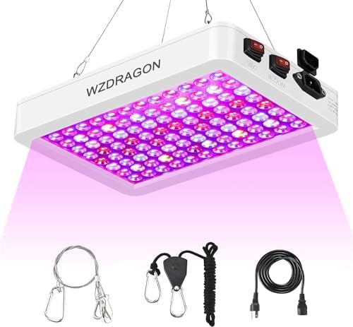 wzdragon lighting