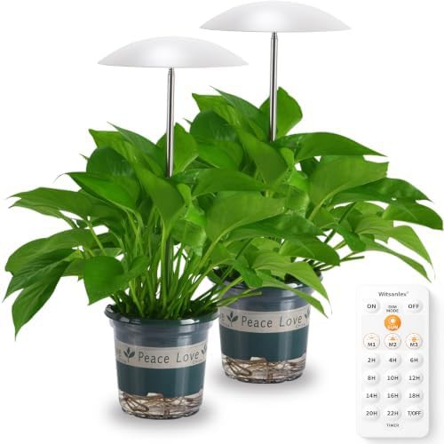 Smart LED grow light with timer