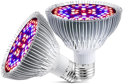 EBD Lighting