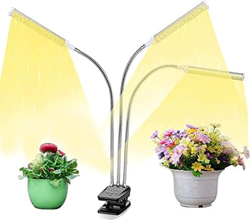Three head LED lamp with timer