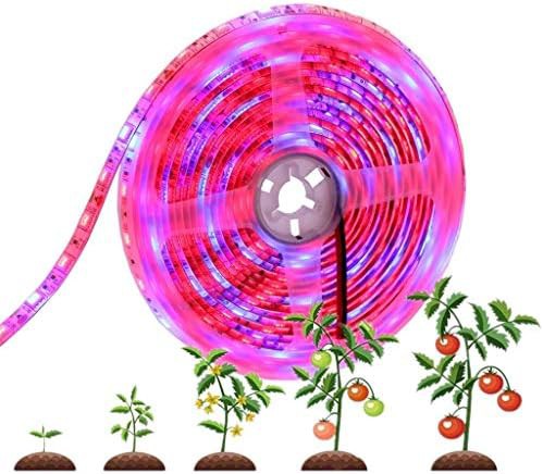 Red and blue waterproof strip light