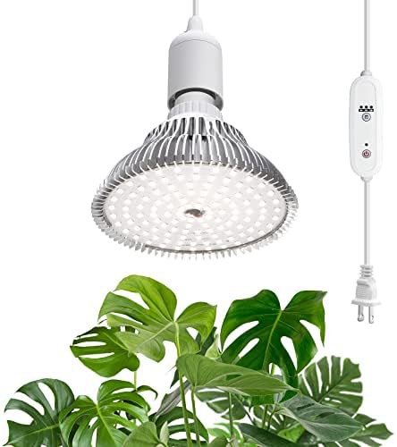 SpeePlant