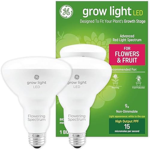 GE Lighting