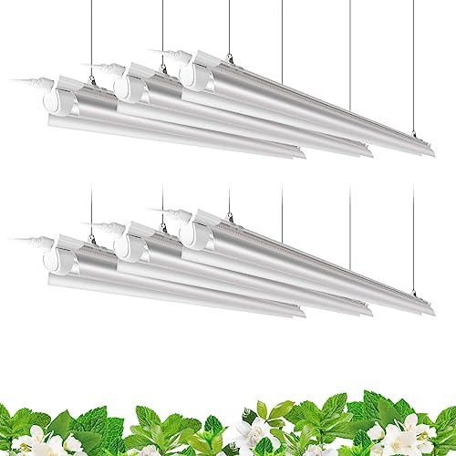 Barrina 4ft 5000k daylight white 6 pack