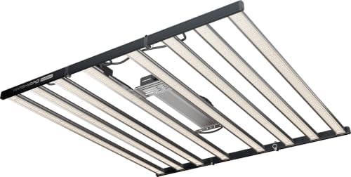 High power 1000W LED for 5x5 areas