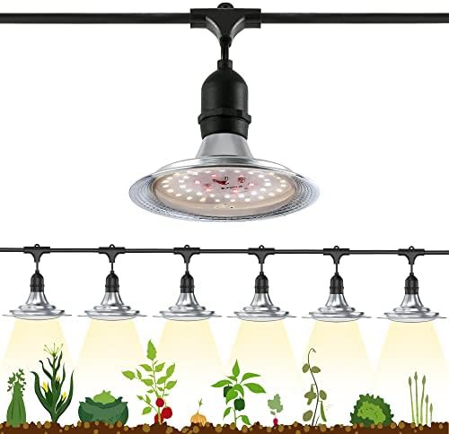 Twenty one foot greenhouse string