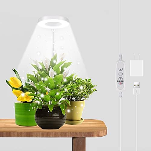 White halo succulent stand light
