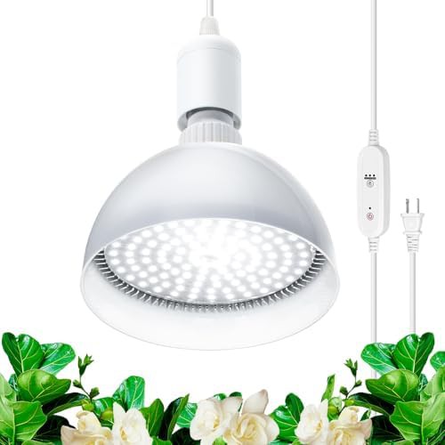25w timer bulb white