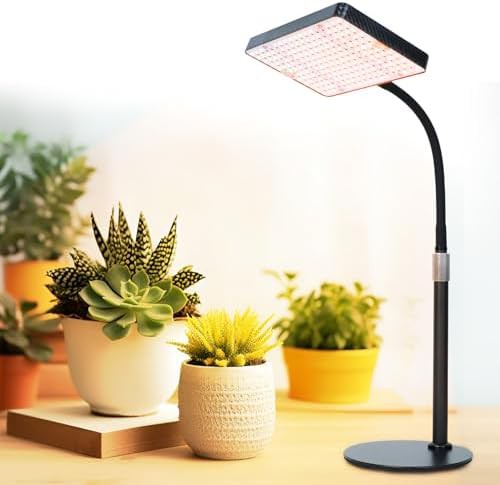 Desktop grow light for bonsai