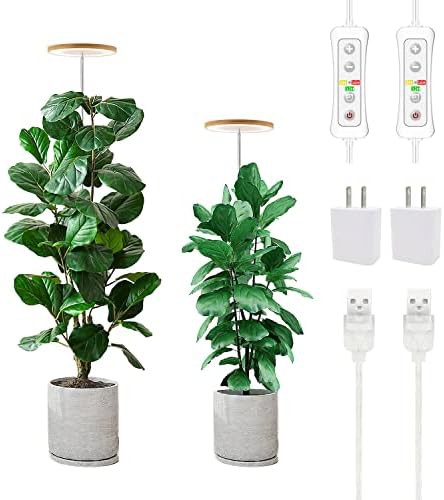 Large plant full spectrum grow light
