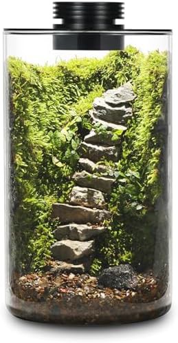 Large desktop glass terrarium with light