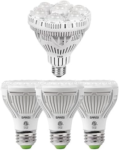 36W and 10W optical lens bulb set