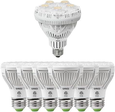 twenty four watt and ten watt six pack lamps