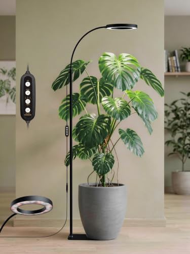 Height adjustable plant light for flowers