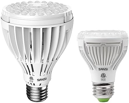 350W equivalent full spectrum lamp