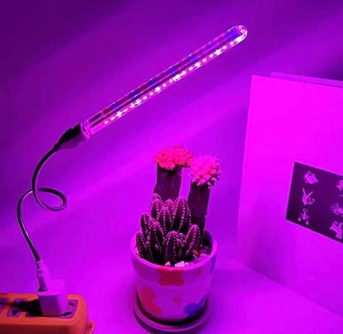 Greenspaceplant