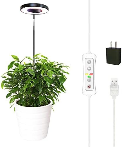 Small plant hanging grow light
