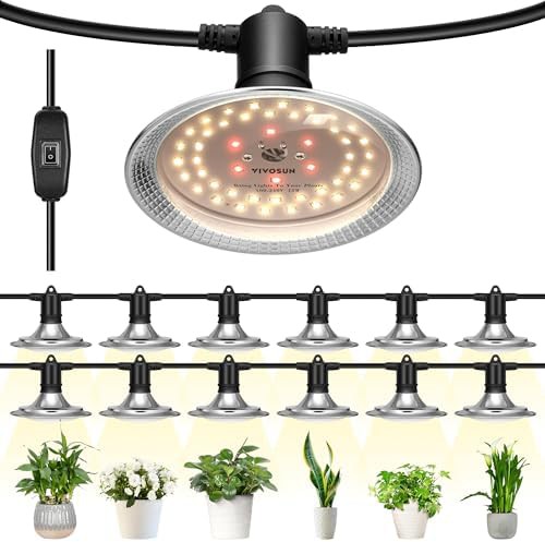 Waterproof twelve light string for gardens