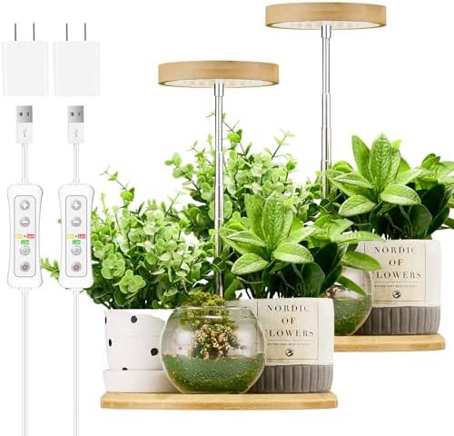Bamboo desktop timer grow light