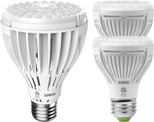 twenty four watt and ten watt two pack bulbs