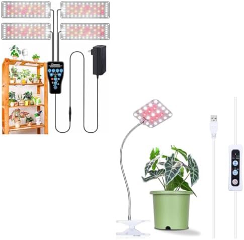 Full spectrum lamp for hydroponic succulents