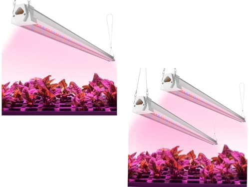Three pack of red and blue hydroponic lights