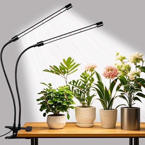 Dual head clip on gooseneck lamp
