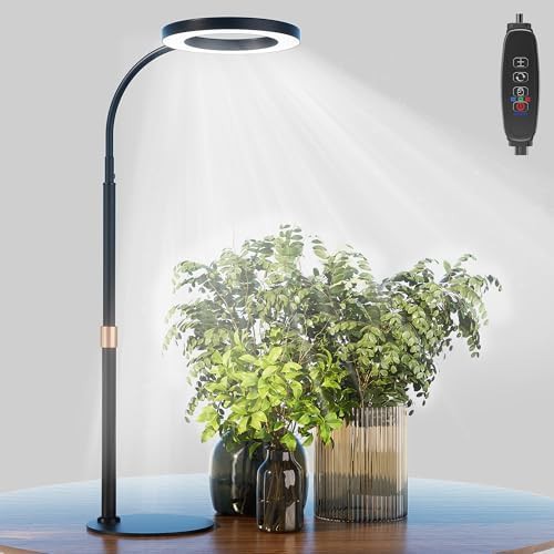 Pedestal desk lamp with adjustable height