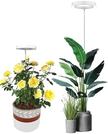 White timer controlled grow lamp