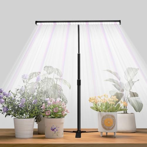 Extendable desktop lamp for indoor succulents