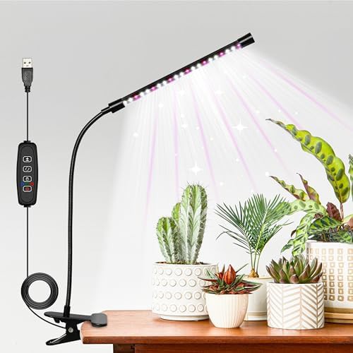 Single tube white gooseneck timer lamp