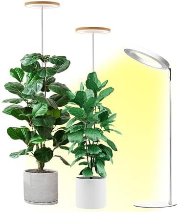 Full spectrum stand for large plants