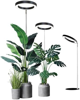 Full spectrum white pedestal light