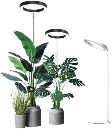 Indoor white height adjustable light