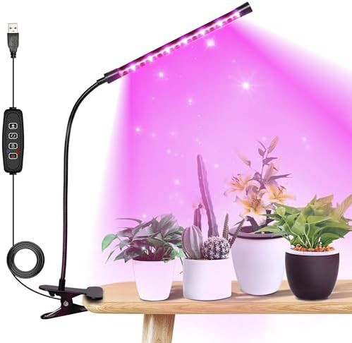 Single tube red and blue dimmable lamp