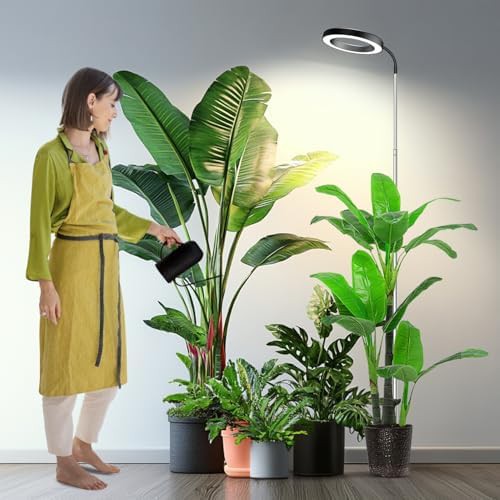 Height adjustable 6000K plug-in light