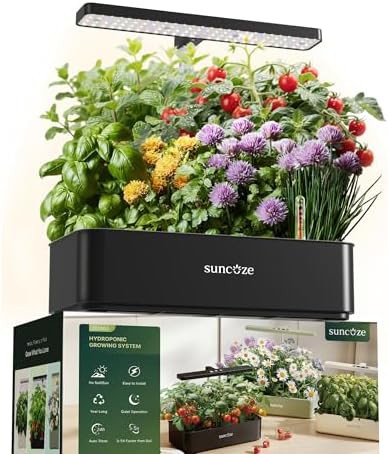 SUNCOZE
