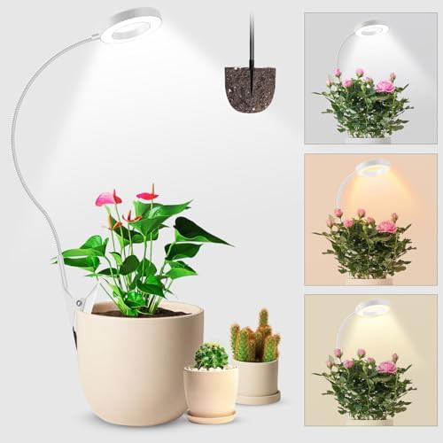 Two in one plant light with three colors