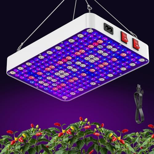 Dual mode veg and bloom hanging light