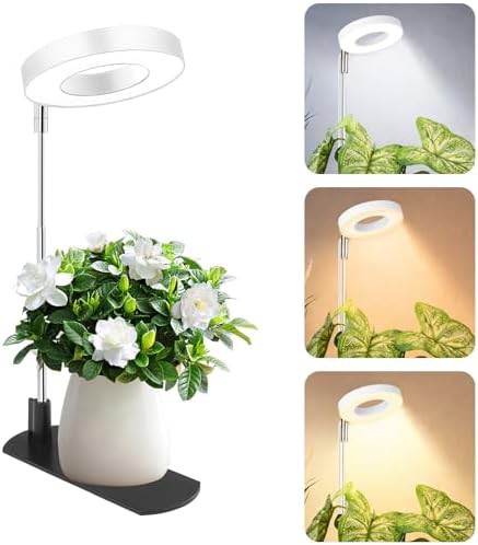 Compact halo light with stable base